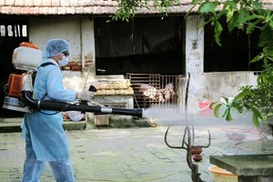 A medical worker is spraying chemical to prevent dengue fever (Photo: VNA)