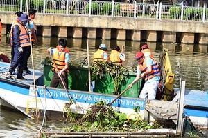 Solutions to avoid more dead fish in Nhieu Loc- Thi Nghe Canal implemented