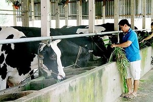 78 percent of HCMC agricultural laborers take vocational training