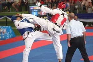 Vietnamese earn four golds at int’l taekwondo champs