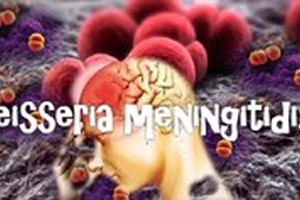 Vietnam to store vaccine for meningitis disease