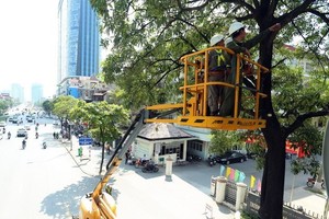 Workers of the Hanoi Green Park JSC trim branches of trees on Tran Duy Hung street in Hanoi ahead of the rainy season (Photo: VNA)