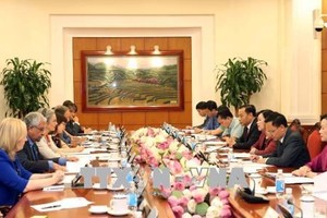 At the meeting between head of the Party Central Committee’s Commission for Mass Mobilisation Truong Thi Mai and Informal Ambassadors and heads of Agencies Gender Policy Coordination Group on June 12. (Photo: VNA)