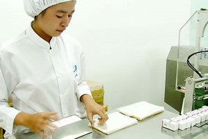 Medicine production in a domestic plant