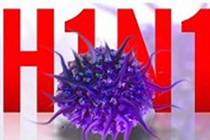 Vinh Long Province enhances surveillance on A/H1N1 flu