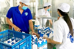 Workers are packing Cu Chi milk ( Photo: SGGP)