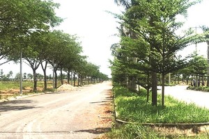 A new residential area is set up in Cu Chi District (Photo: SGGP)