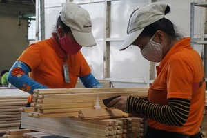 Vietnam earns $3.52 billion from wood exports