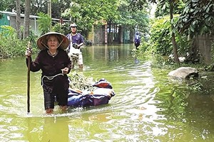 Diseases break out after flood in Chuong My District