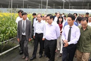 Deputy PM Hue visits a flower cooperative in Lam Dong (Photo: SGGP)