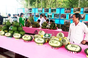 Agricultural products of farmers in Phuong Binh Commune  (Photo: SGGP)