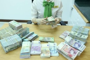 The daily reference exchange rate is set at 22,673 VND/USD on August 29 (Photo: VNA)