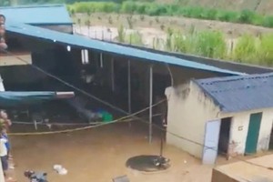 Photo from a clip recording teachers and students of Na Ot Secondary High School in Mai Son District, Son La Province, running from the flooding.