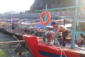 A fisherman in Quang Ninh anchors his boat (Photo: SGGP)