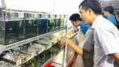 Third ornamental fish festival opens in Phu Tho stadium Center