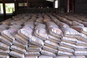 The Philippines started a preliminary safeguard investigation on the importation of cement from various countries, including Vietnam (Photo: cafef.vn)