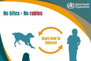 Ministries call for support in spreading information of rabies