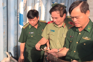 Ten tons of tusks, pangolin scales seized in Tien Sa port