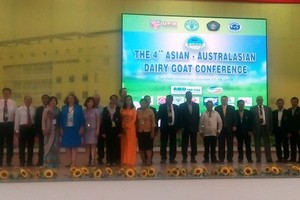 Milk goat breeding adapts to climate change