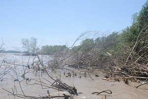 Ca Mau petitions to fund for resettlement