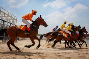 The multi-purpose entertainment complex – horse racing course project is added to Hanoi’s master plan on socio-economic development by 2020, with orientation to 2030(Photo: vnexpress.net)