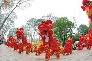 Second Kylin-Dragon Dance Festival celebrated in Van Lang park