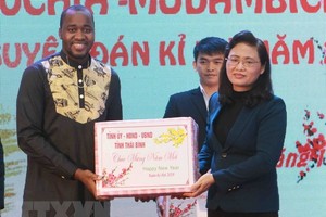 Vice Chairwoman of the provincial People’s Committee Nguyen Thi Linh (Source: VNA)