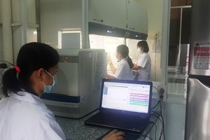 Eight labs urgently urged to find ASF fatal virus