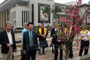 Bac Giang receives 100 cherry blossom trees from Japan