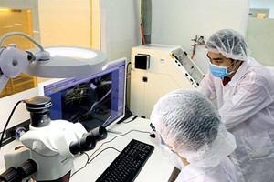 Research on new products in USM Healthcare Company, specializing in exporting medical equipment, with 100 percent domestic investment capital. Photo by Tan Ba