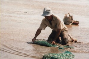 Over 100 tons of clam in Ben Tre die due to high salinity level