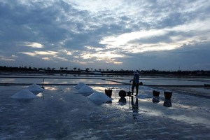 A salt farmer is working in his farm (Photo: H.H)
