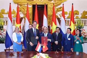 Prime Minister Nguyen Xuan Phuc (R) and Dutch PM Mark Rutte at the talks (Source: VNA)