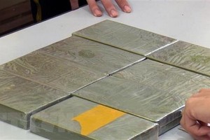 Competent forces have arrested a 34-year-old man for illegally transporting ten bricks of heroin in the northern province of Ha Nam. (Photo: VNA)