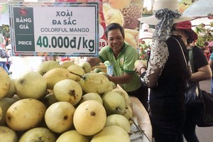 Southern fruit festival begins in HCMC