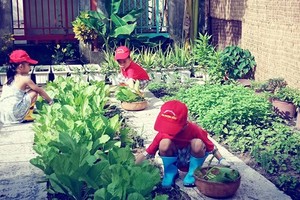 HCMC education sector strives to green schools