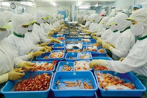 Workers process shrimp at Tra Noc 2 Industrial Park in the city of Can Tho. — Photo baocantho.com.vn