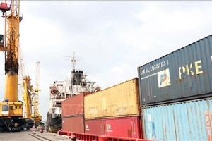 The situation of being stuck in ports and overloading at some key ports in the South East region takes place regularly, creating conditions for shipping enterprises to increase service charges. (Photo: VNA)