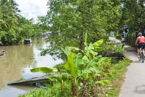 Foreign tourists go for bike ride in a province in Mekong delta (Photo: SGGP)