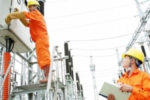 Fitch Ratings gives Vietnam Electricity ‘BB’ rating