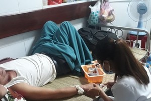 Two children, seven adults die of dengue fever in nine months in HCMC