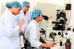 Students of Vietnam National University in HCMC are making research (Photo: SGGP)