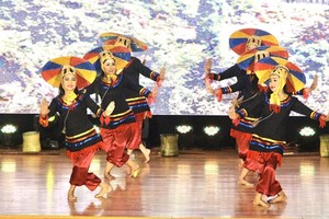 A performance by Cambodian artists at the programme in Long Xuyen city, An Giang province, on November 21 (Photo: VNA)