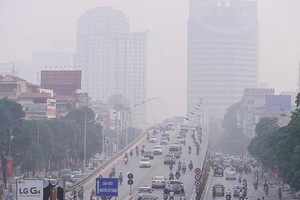 Hanoi determined in dealing with environmental pollutions