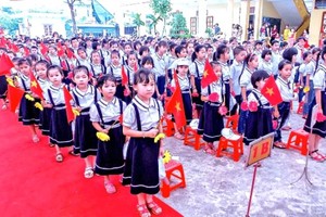 Tuition fee at high-quality public primary schools in Hanoi risen to US$220 per month