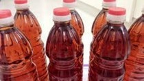 Public Security Ministry to carry out probe into violating fish sauce facilities