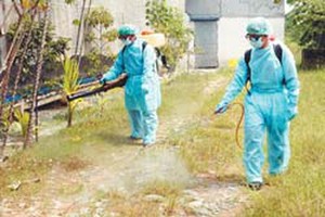 Vets spray chemicals to disinfect farms (Photo: SGGP)