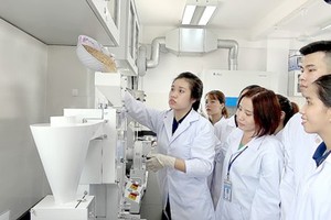 Students of the Ho Chi Minh City University of Food Industry learning in a lab. (Photo: SGGP)