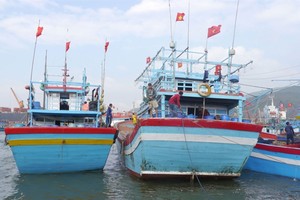 Vietnam had 13,150 ships with cruise monitoring equipment by January this year. — Photo nld.com.vn