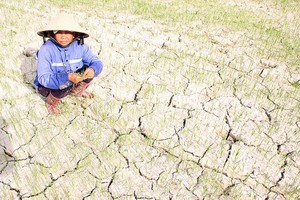 Water supply for daily, agricultural activities top priority